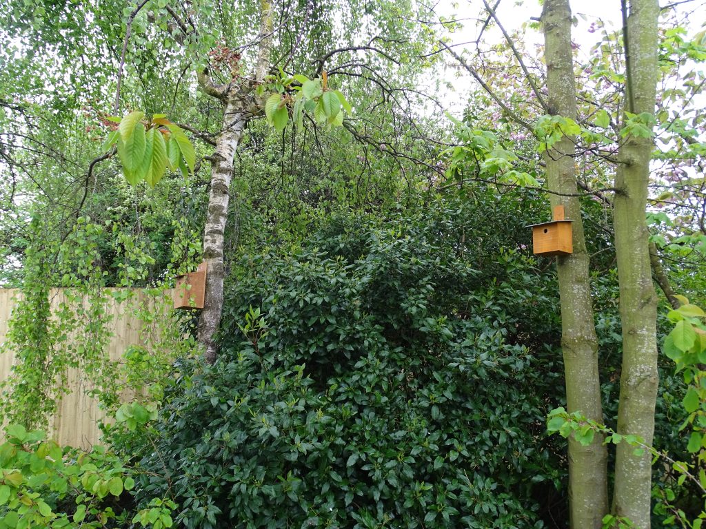 Bird boxes donated to the children's home in Louth